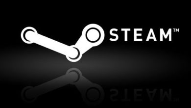 Steam