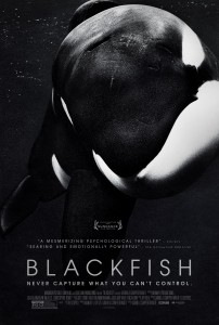 Blackfish - poster