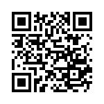 Mesa de Medios de Difusión - Festival de Fantasía de Fuenlabrada 2013 QR