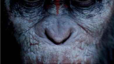 Póster de Dawn of the Planet of Apes
