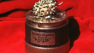 Premios Razzie 2014