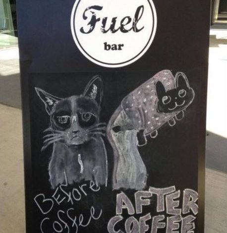 Grumpy Cat o Nyan Cat