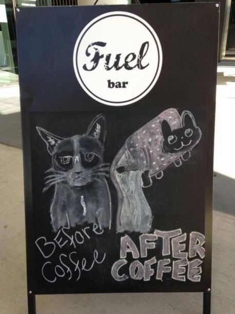 Grumpy Cat o Nyan Cat