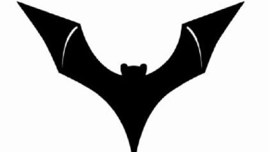 Logo que el Valencia C.F. quería registrar