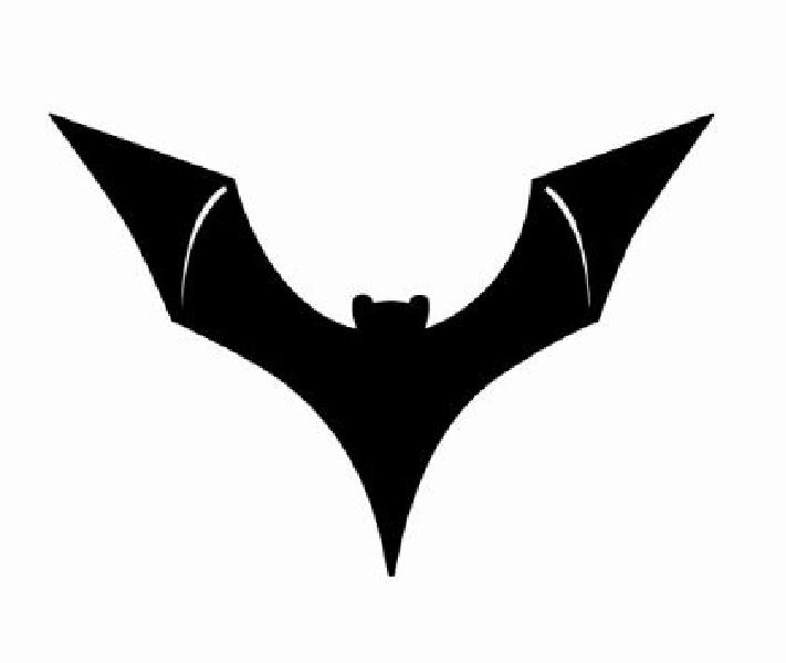 Logo que el Valencia C.F. quería registrar