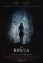 Póster de La bruja