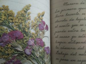 El diario de Tita