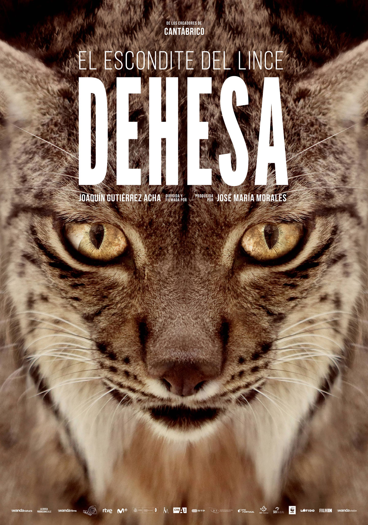 Póster de Dehesa, el escondite del lince