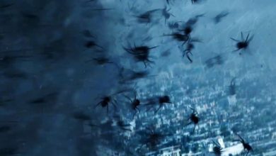 Nuevo tráiler de "Arachnado"