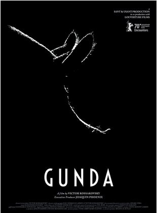 Póster de Gunda