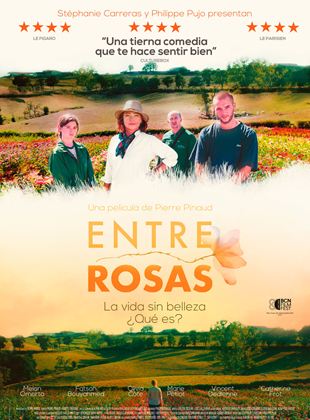 Póster de Entre rosas