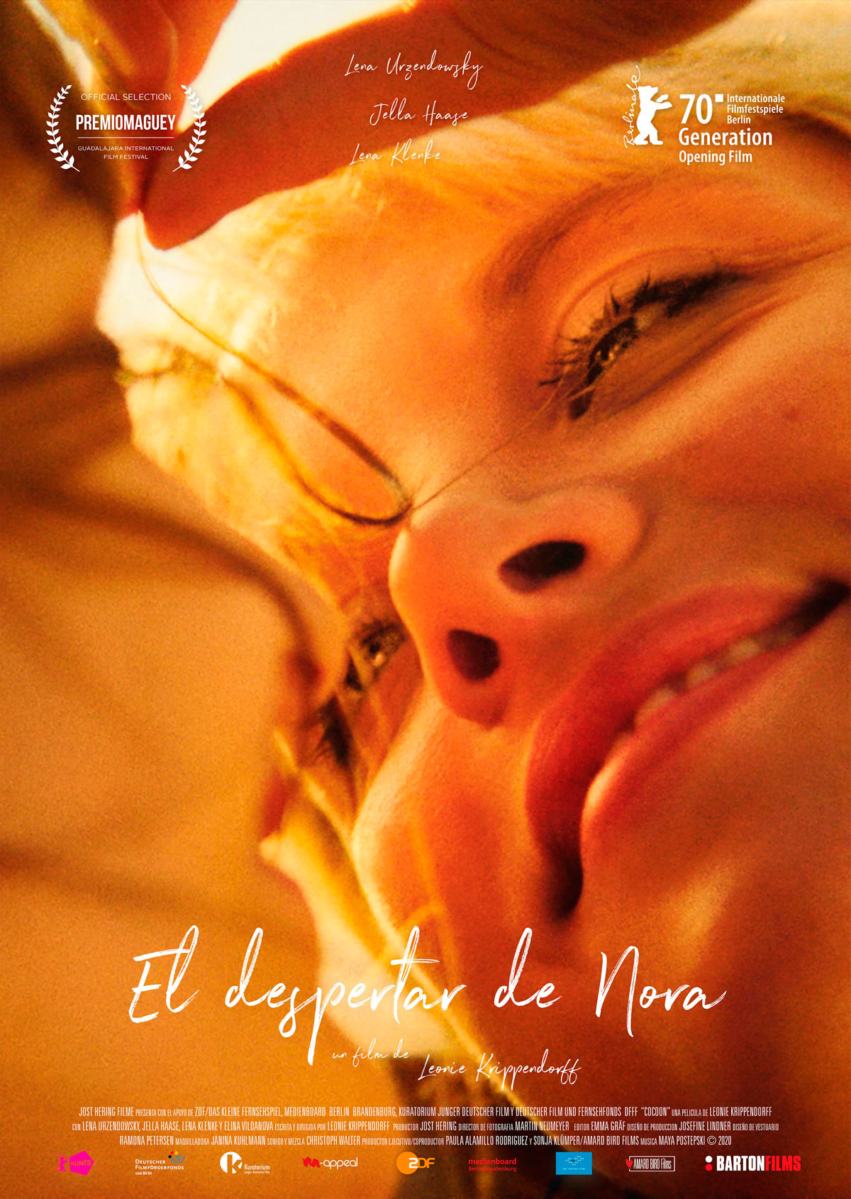Póster de El despertar de Nora