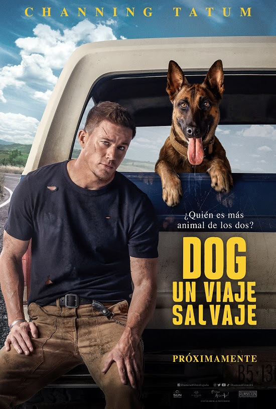 Póster de Dog. Un viaje salvaje