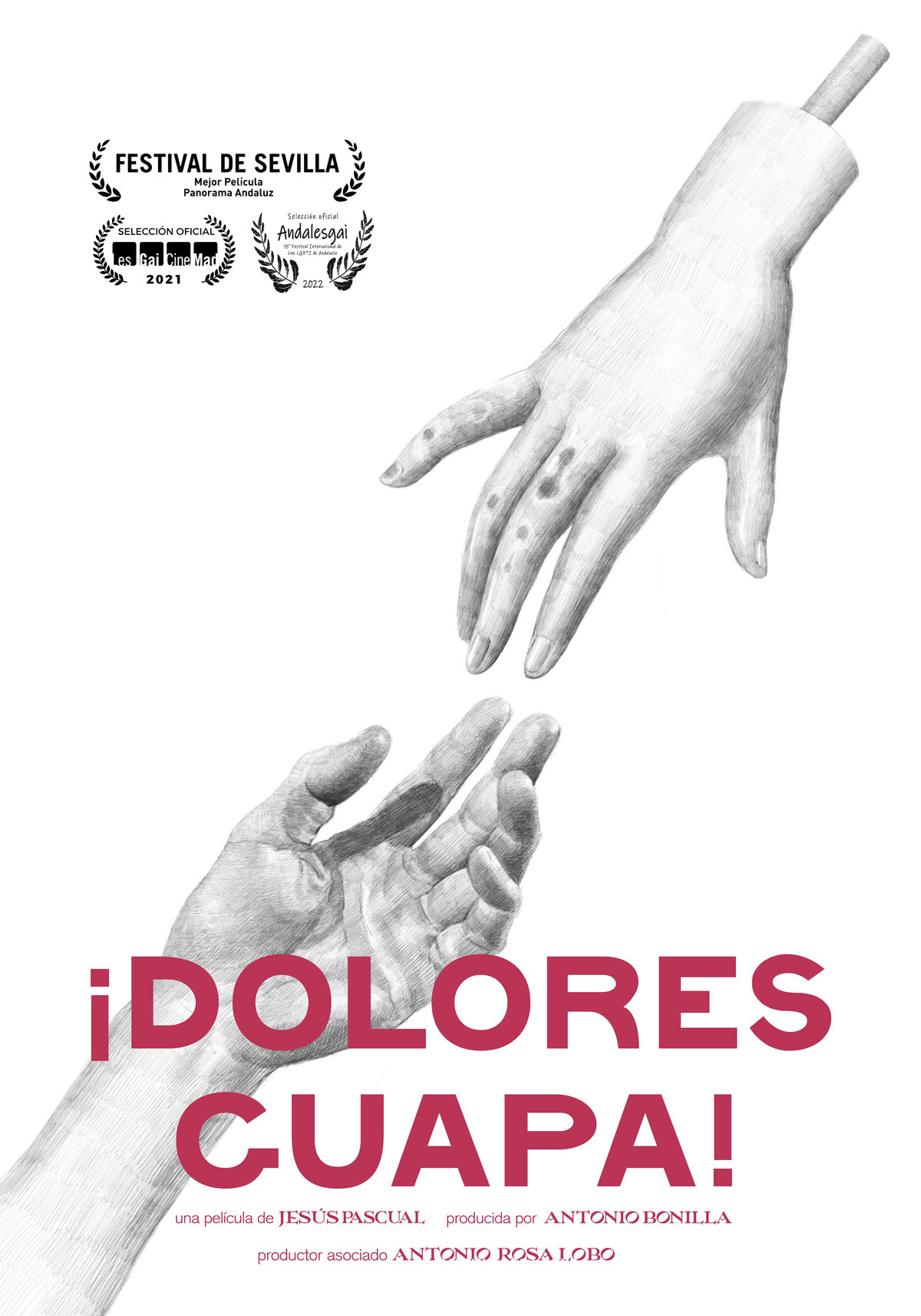 Póster de ¡Dolores guapa!