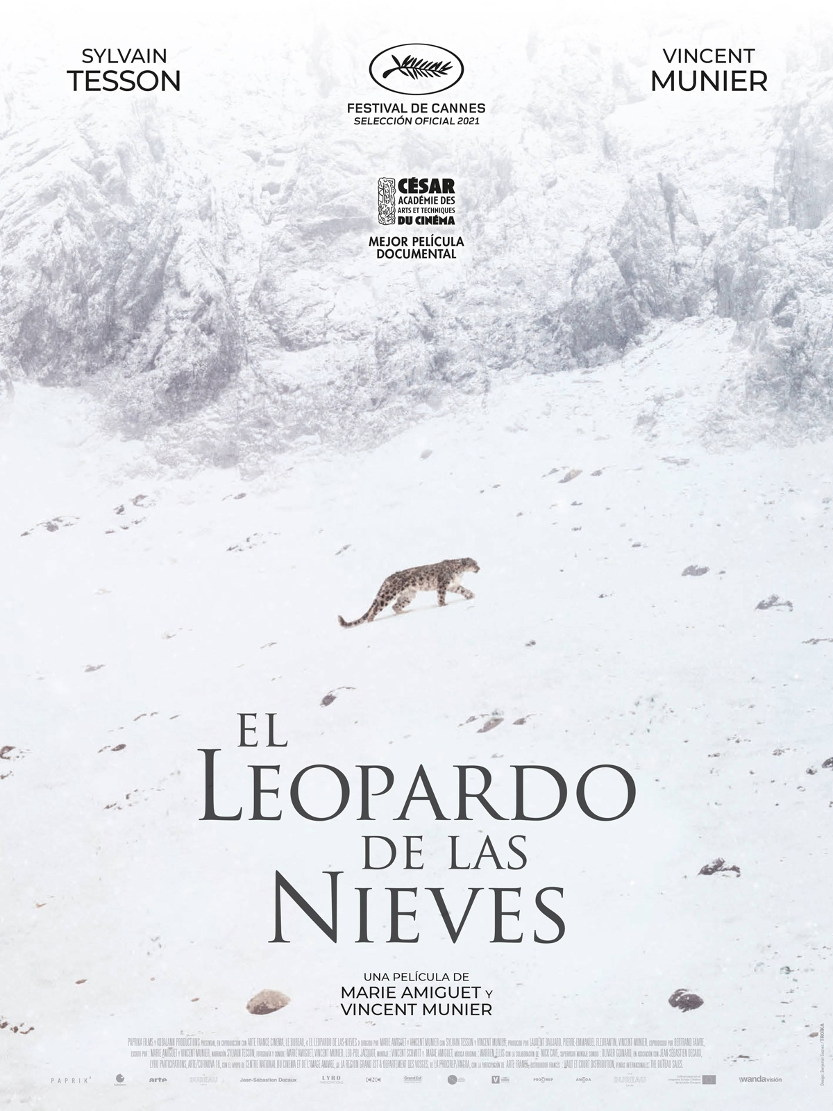 Póster de El leopardo de las nieves