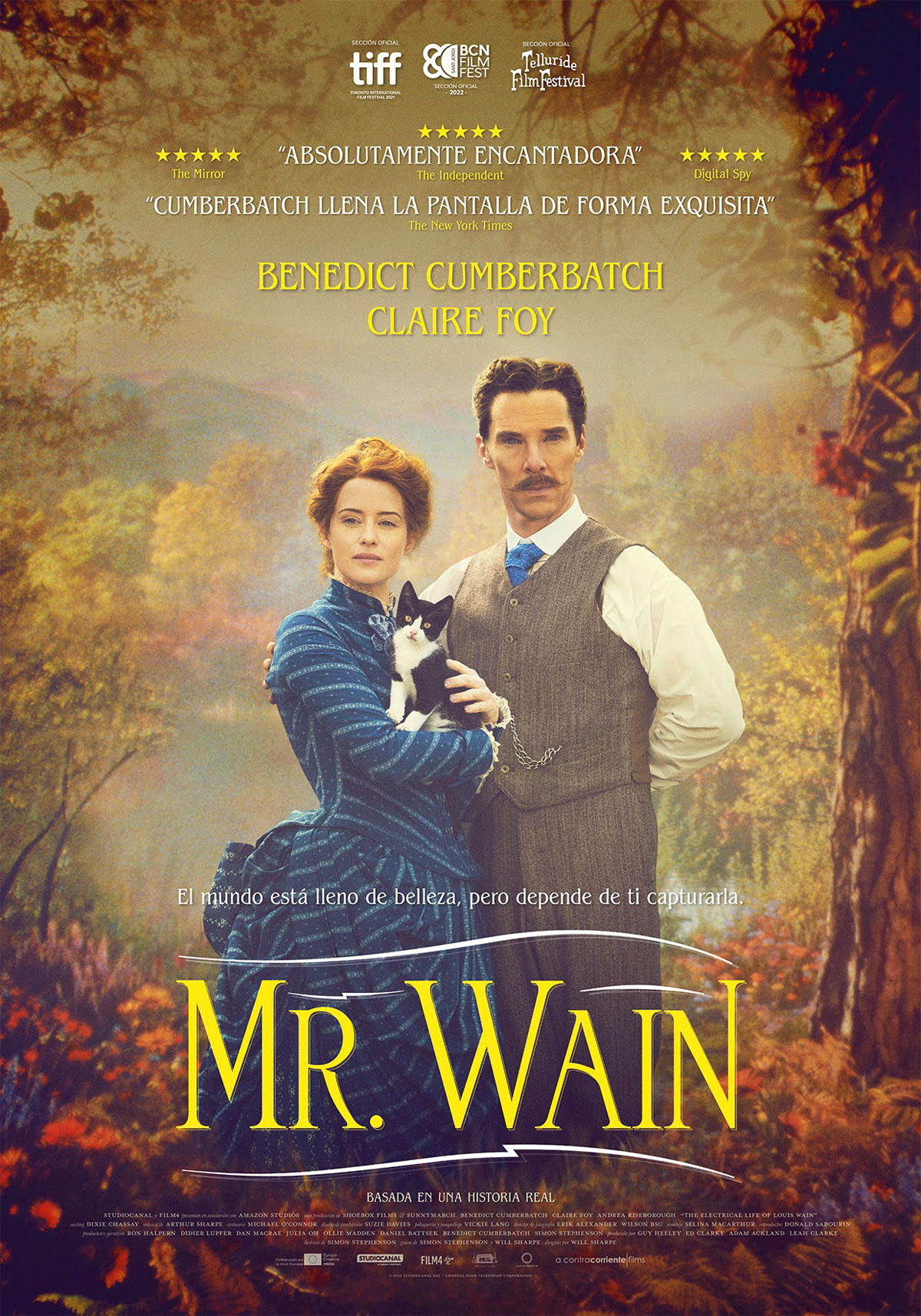 Póster de Mr. Wain