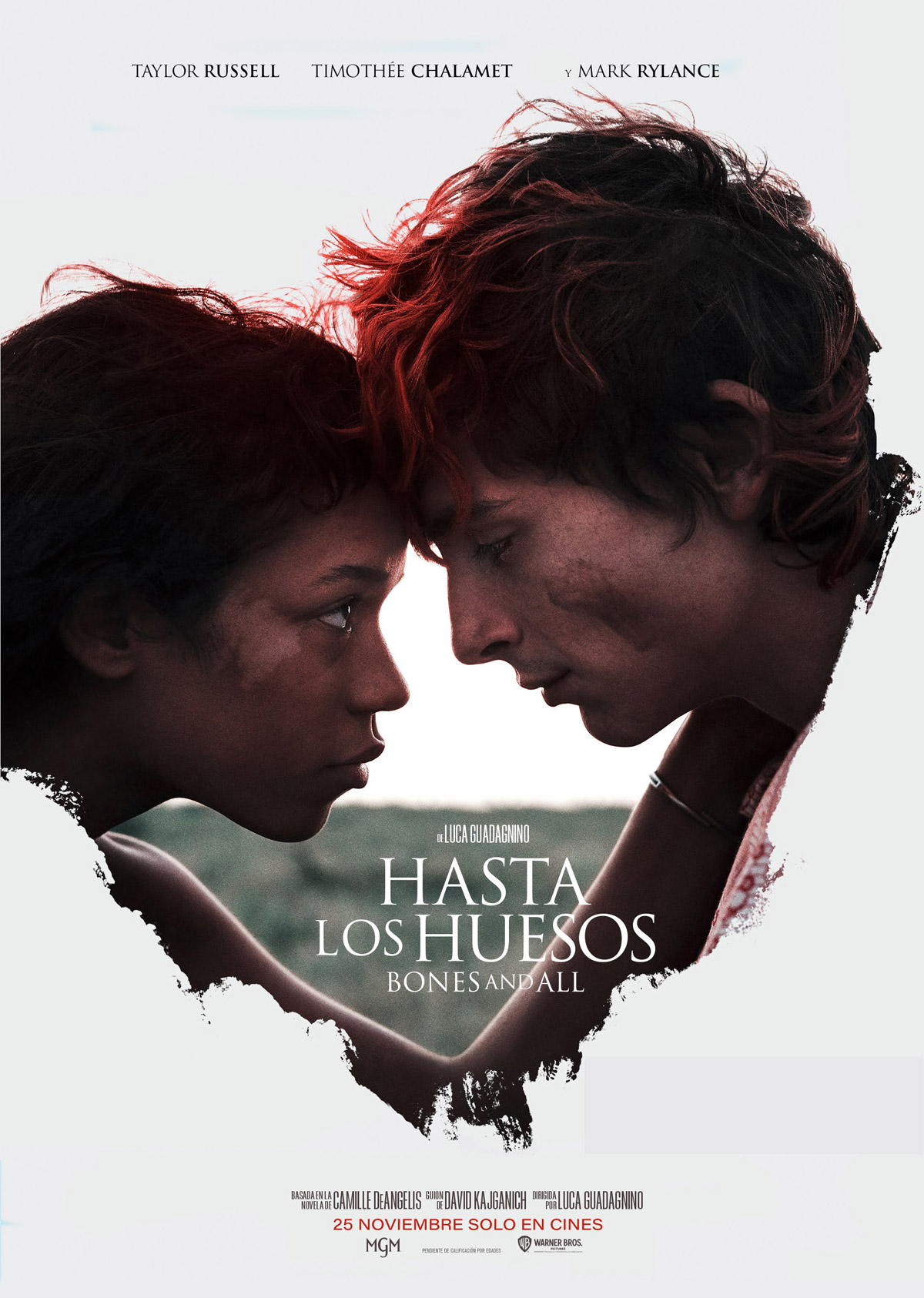 Póster de Hasta los huesos: Bones and all