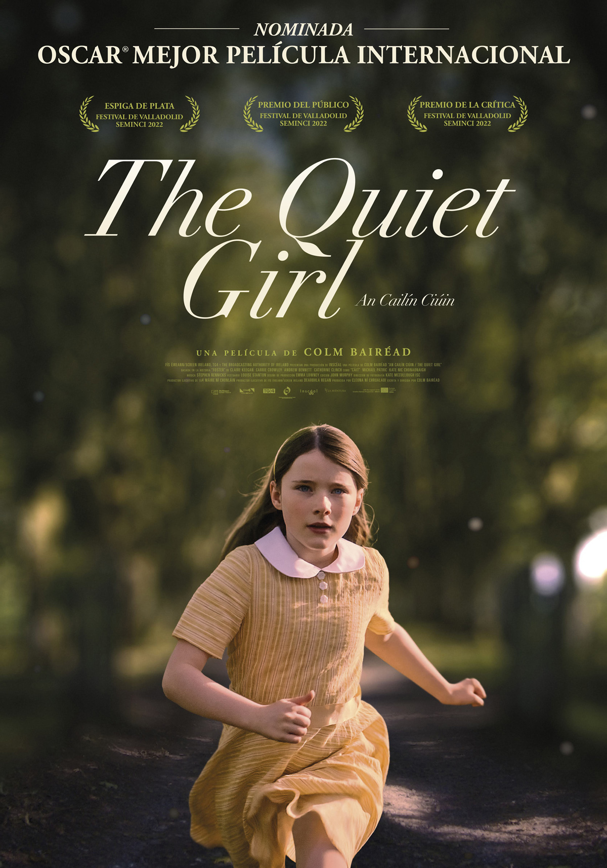 Póster de The Quiet Girl