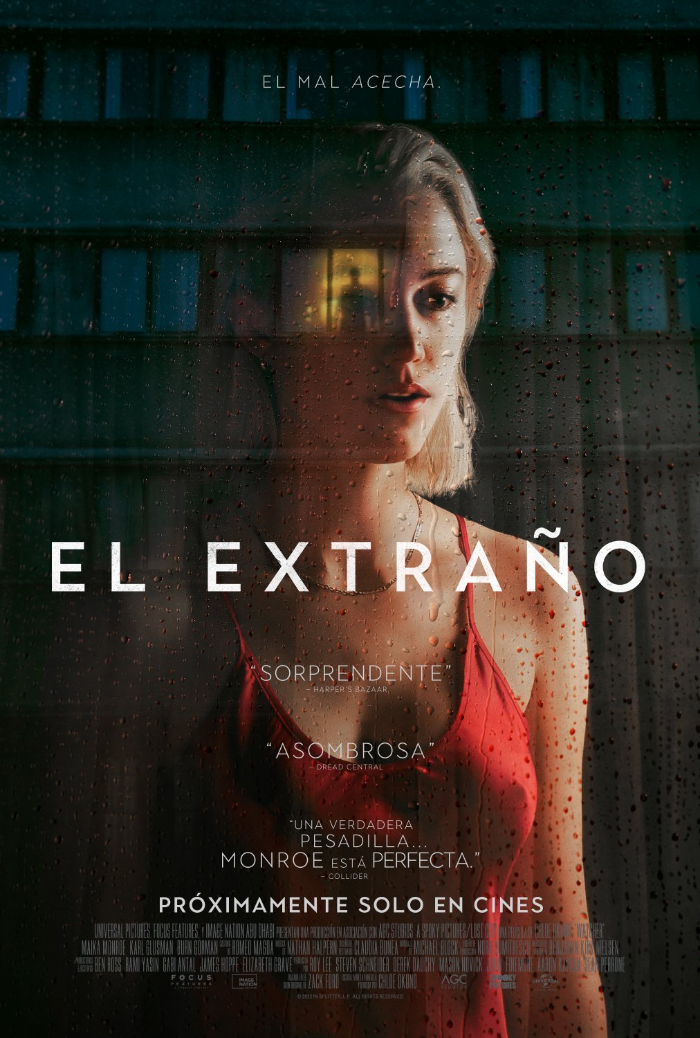 Póster de El extraño