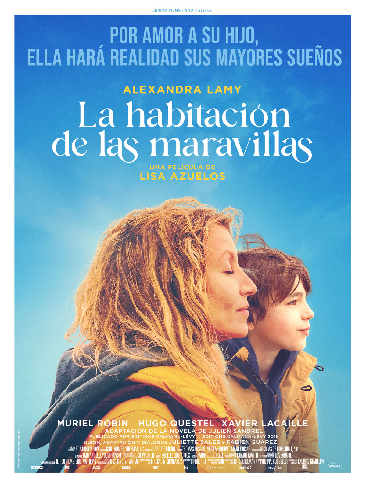 Póster de La habitación de las maravillas Póster de La habitación de las maravillas