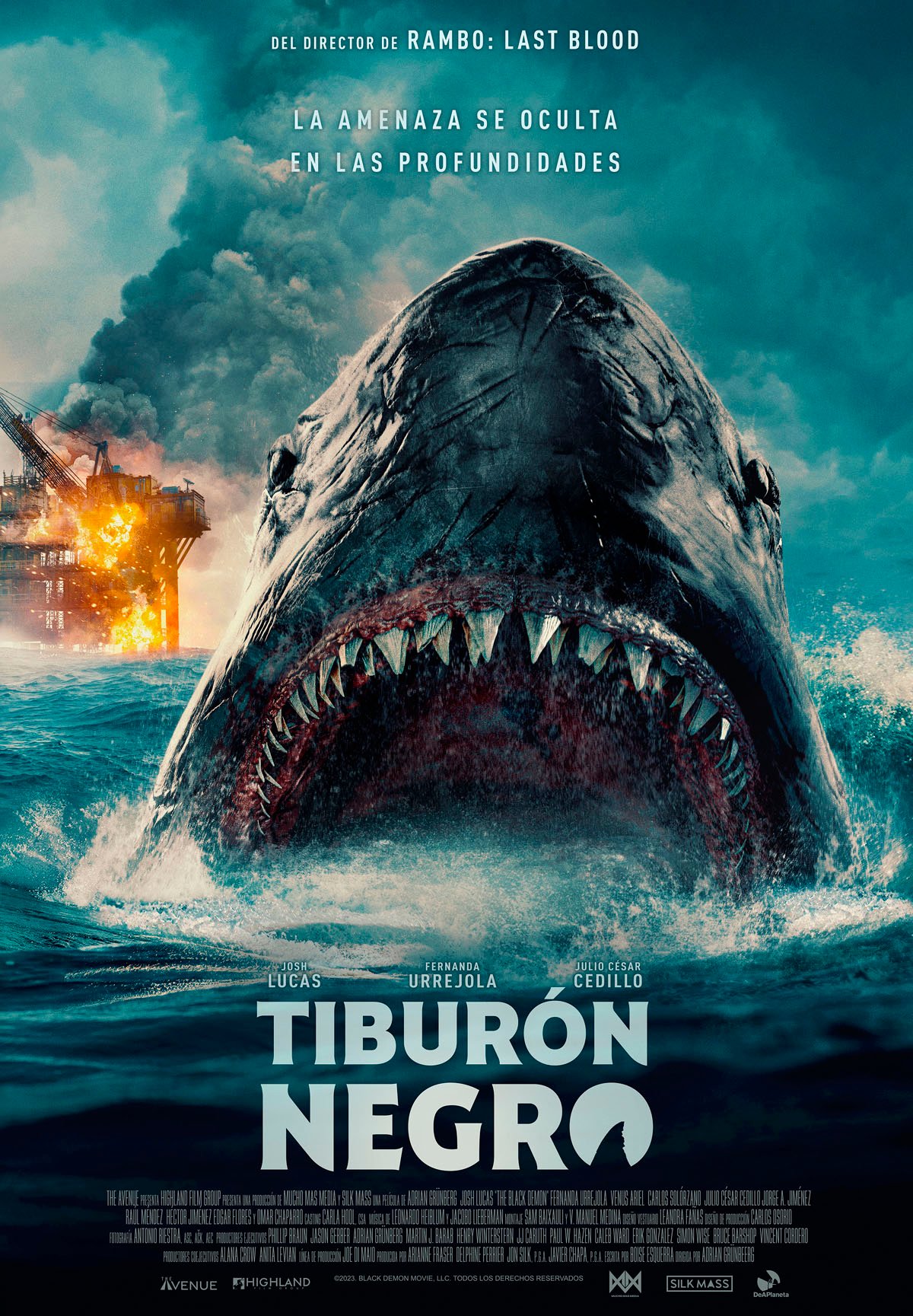 Póster de Tiburón negro