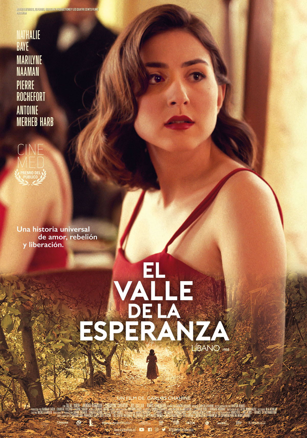 valley of hope poster