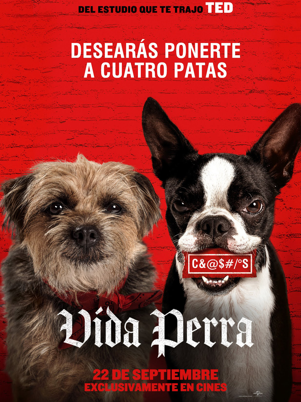 Ficha, tráiler y póster de Vida perra