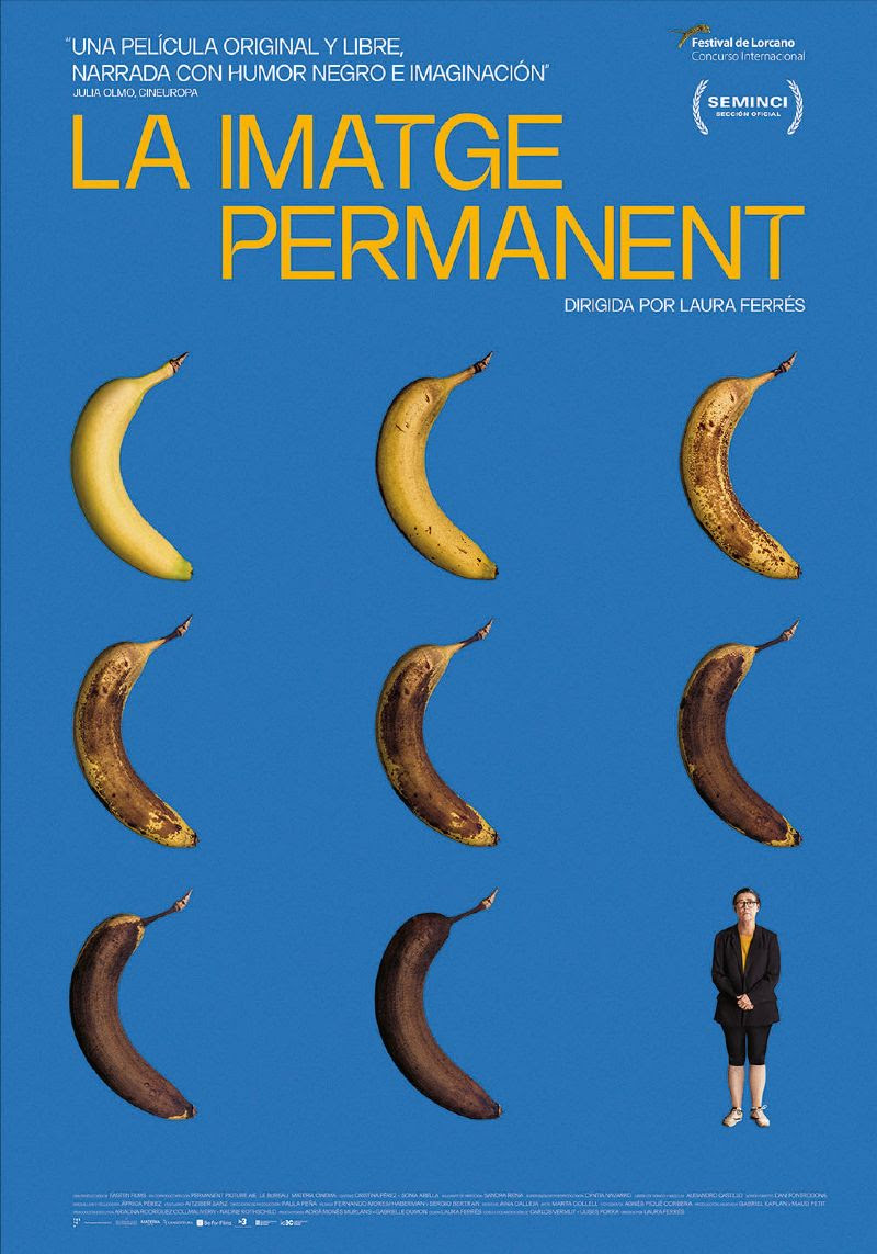 Póster de La imatge permanent