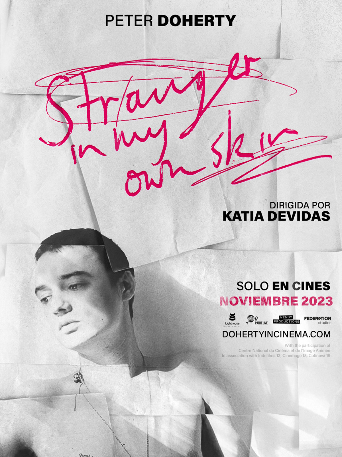 Póster de Peter Doherty: Stranger in my own skin Póster de Peter Doherty: Stranger in my own skin
