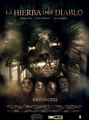 Póster de La hierba del diablo Póster de La hierba del diablo