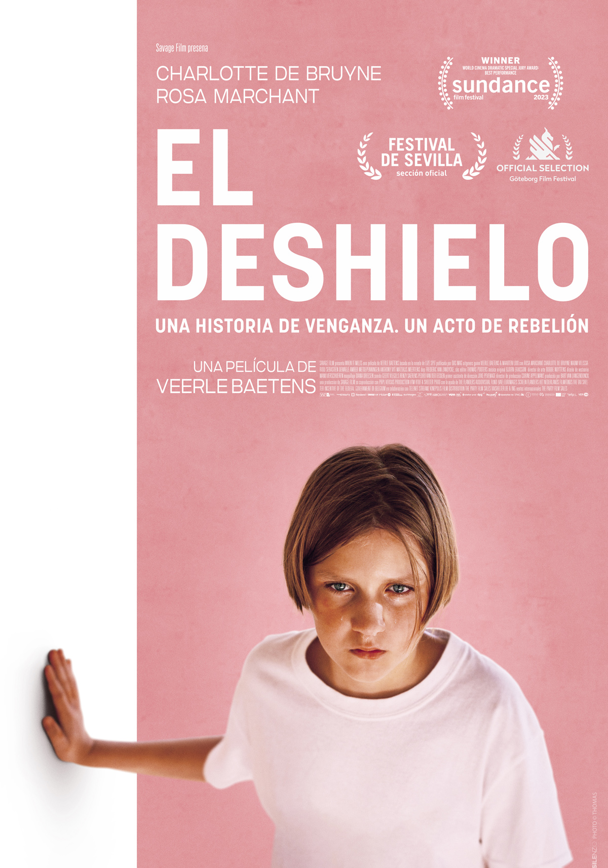 Póster de El deshielo