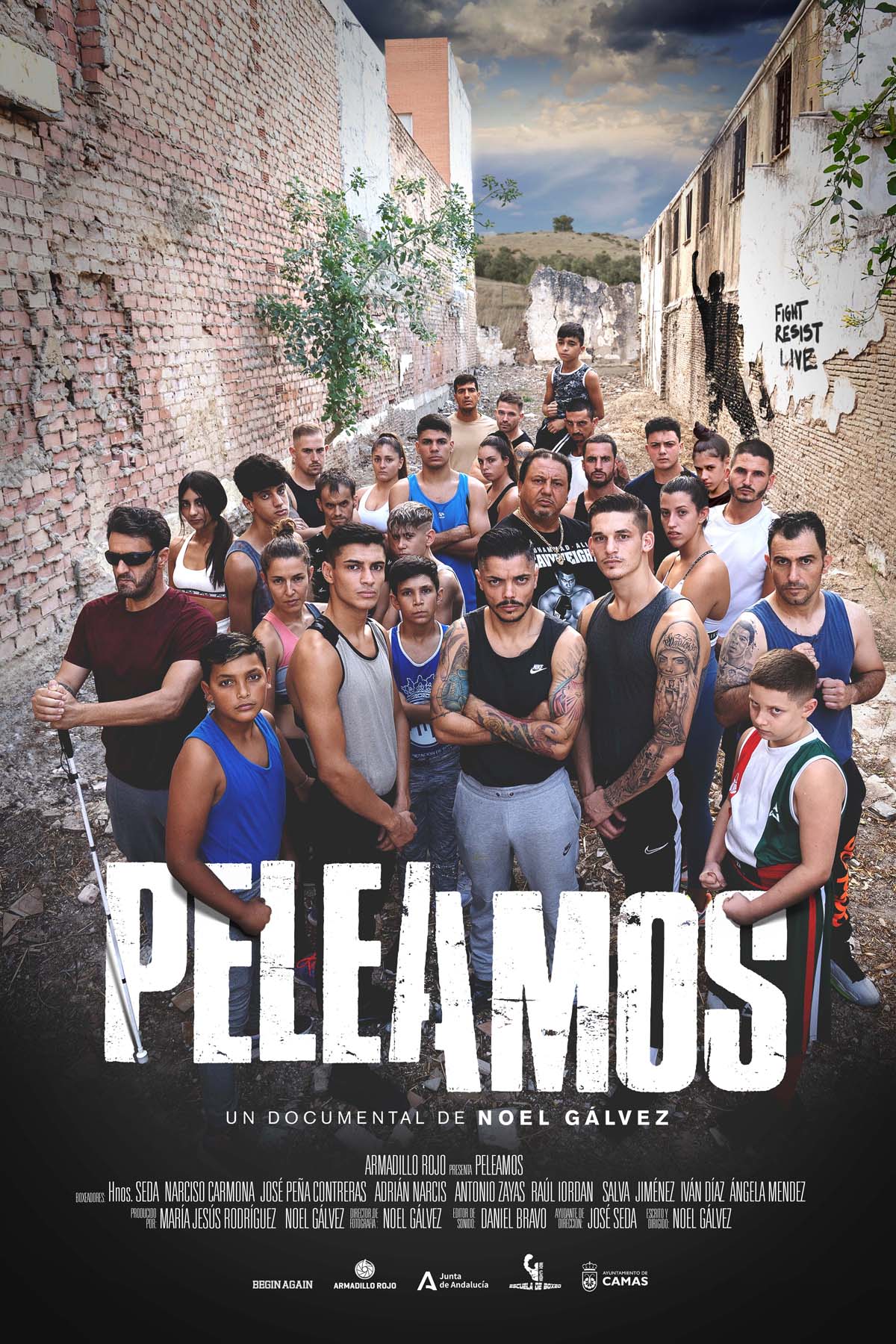 Póster de Peleamos