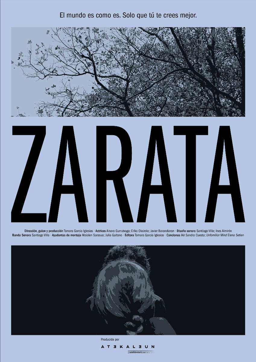 Póster de Zarata