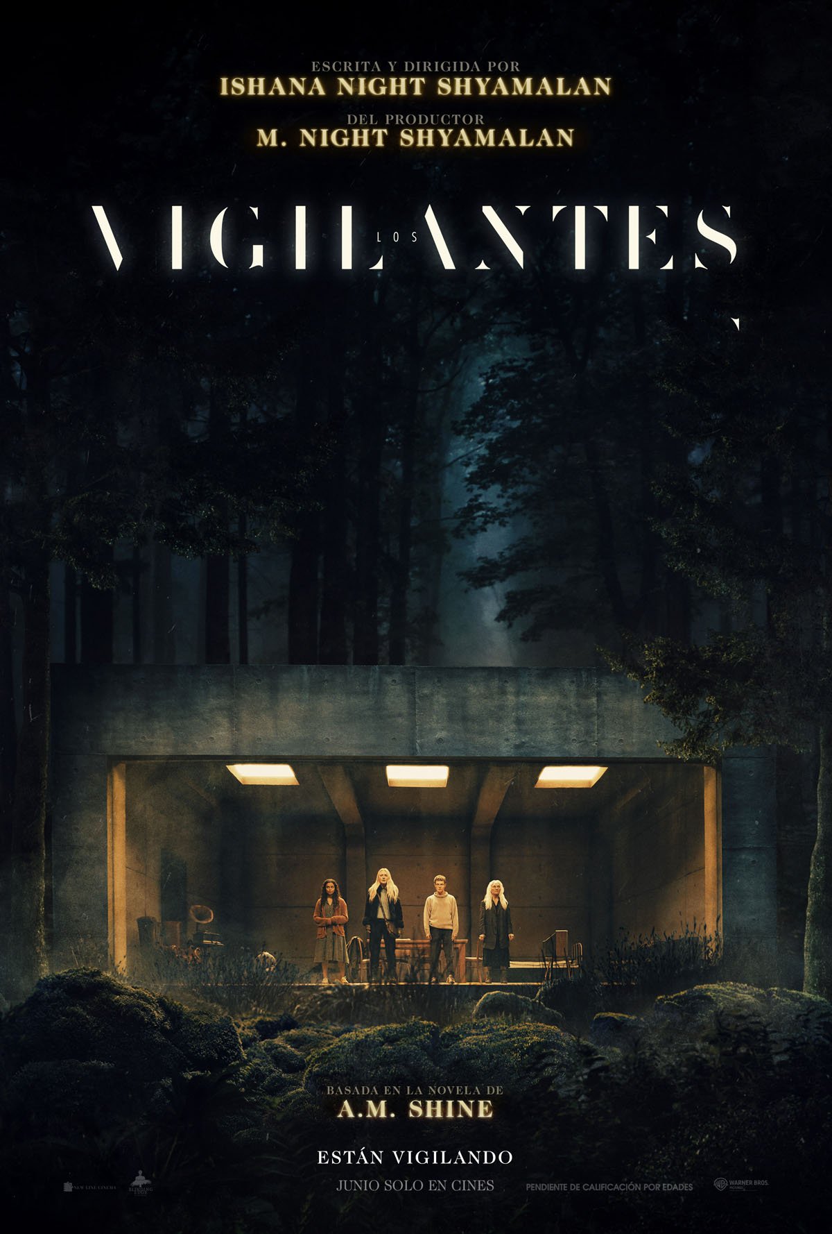 Póster de Los vigilantes