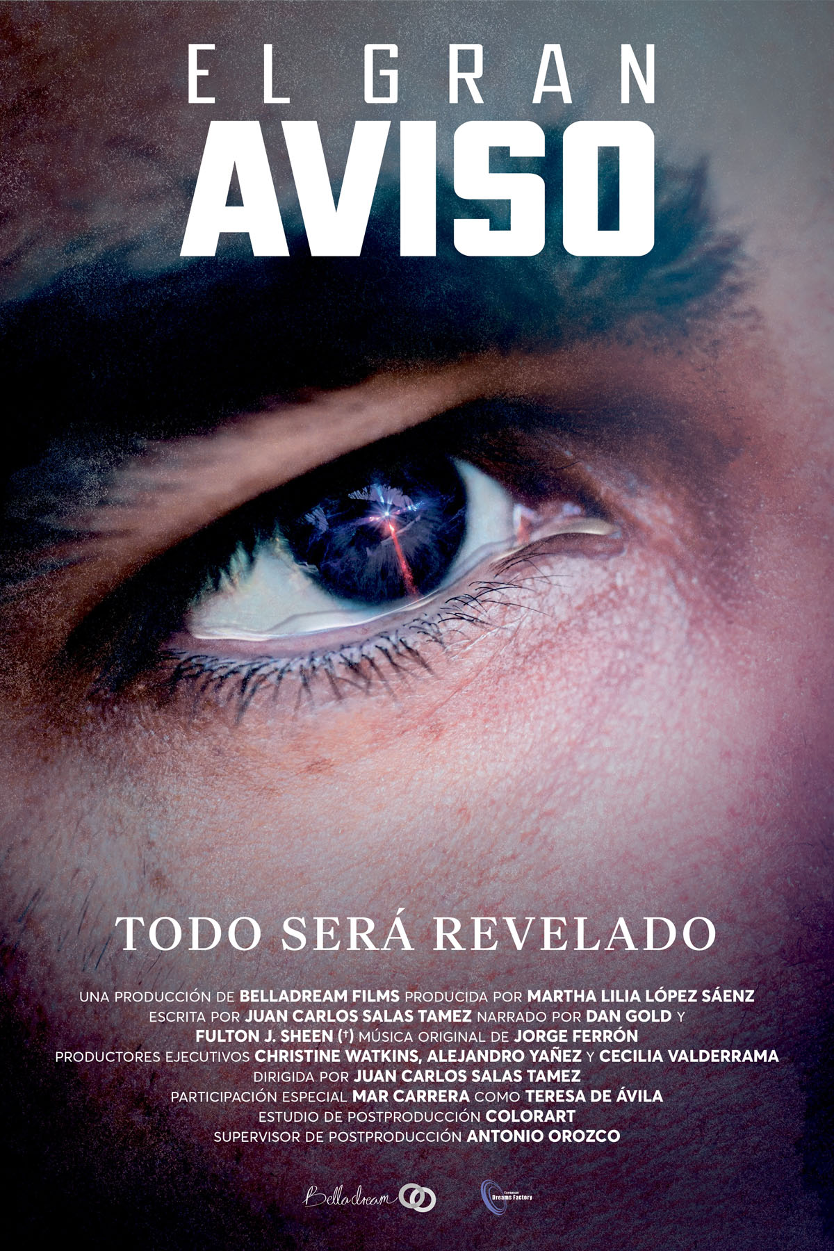 Póster de El gran aviso Póster de El gran aviso