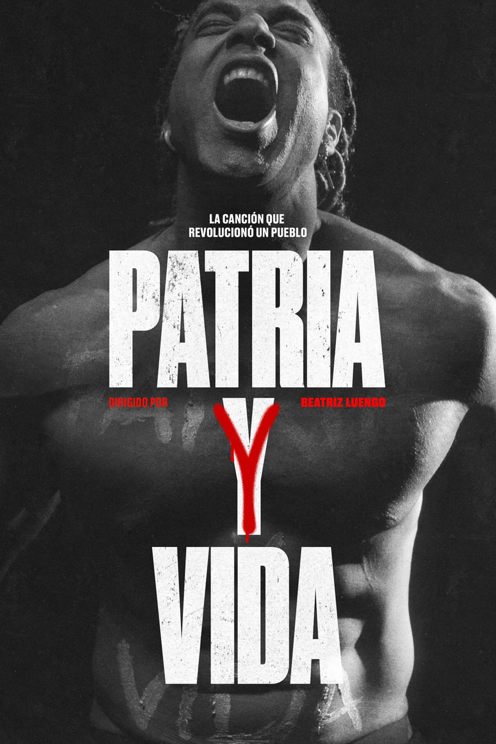 Póster de Patria y vida