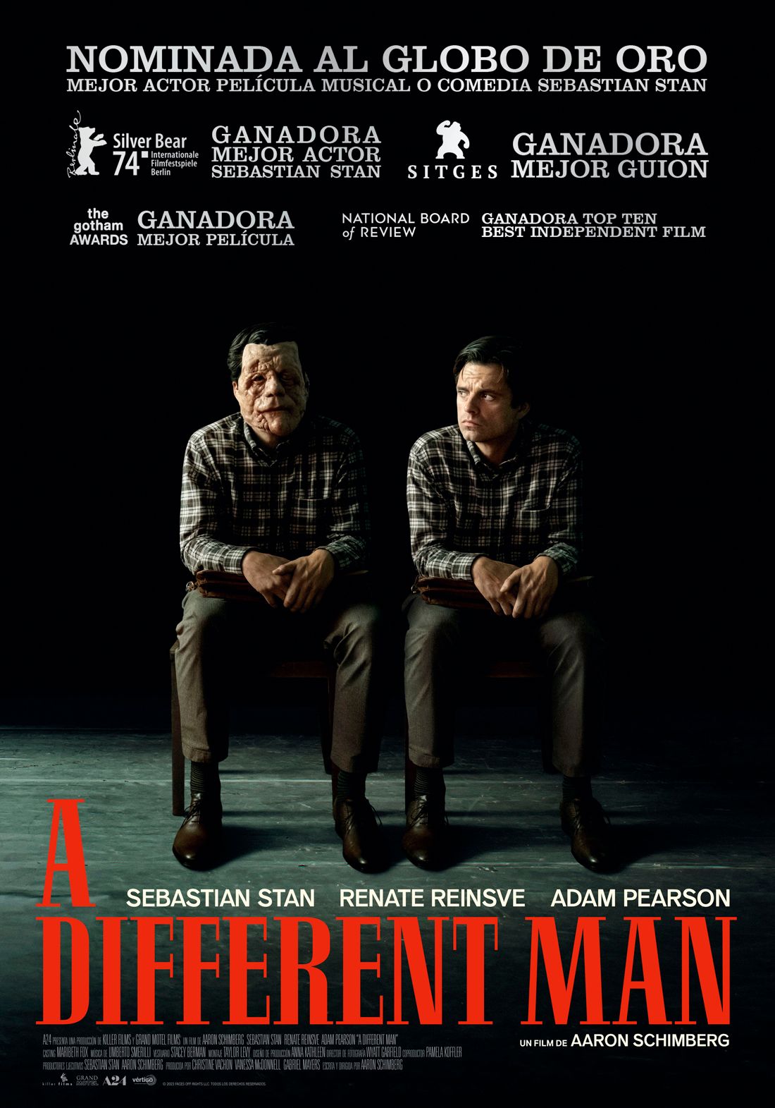 Póster de A Different Man