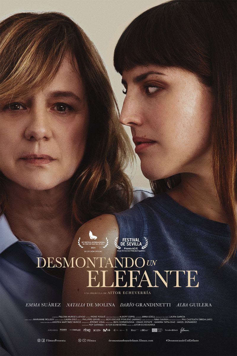 Póster de Desmontando un elefante