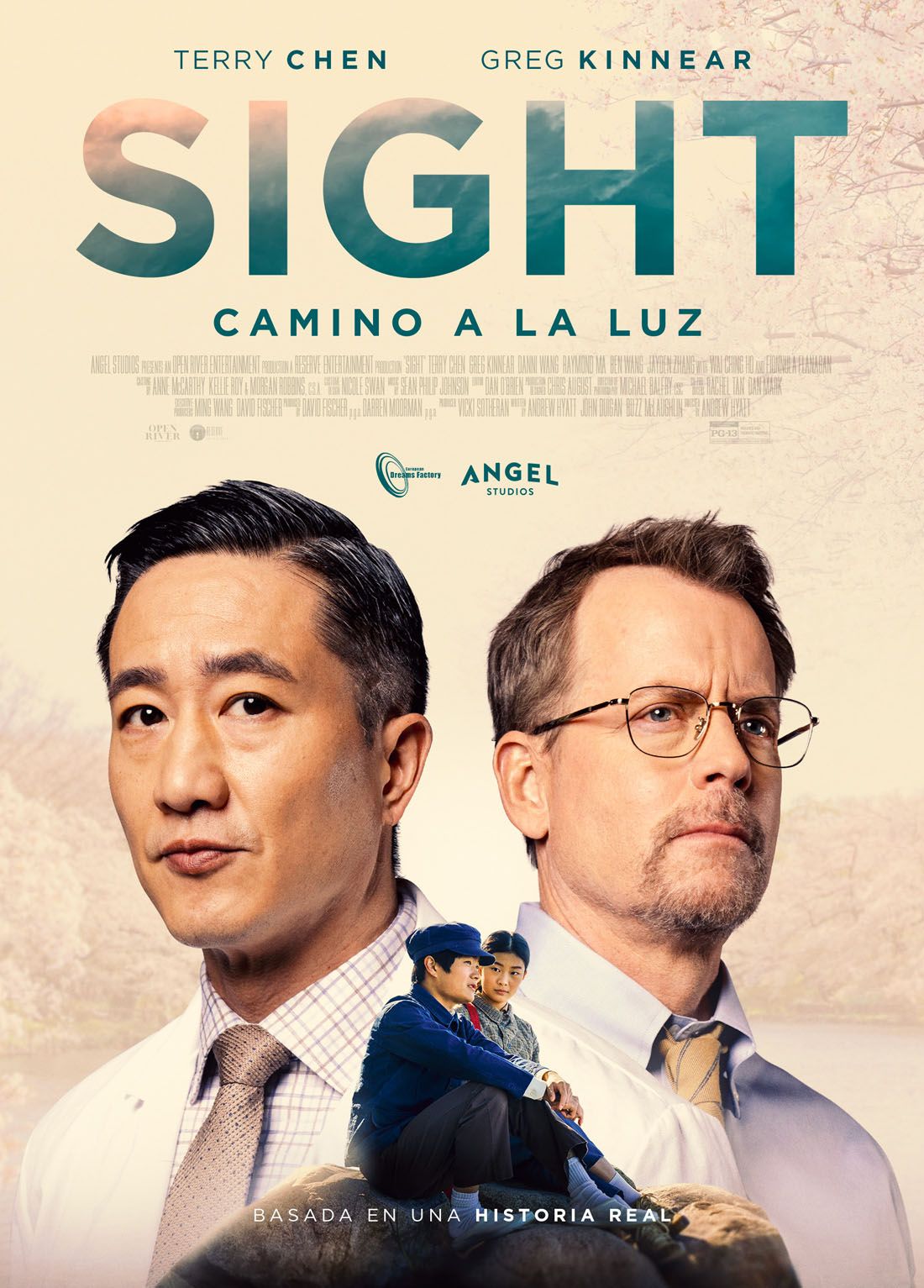 Póster de Sight: Camino a la luz
