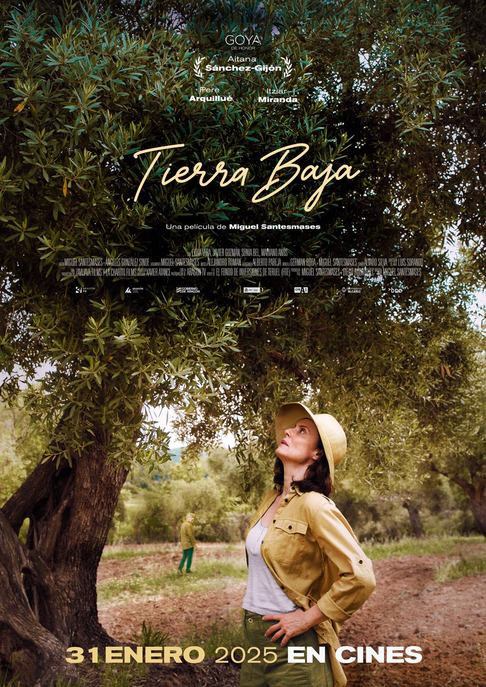 Póster de Tierra baja