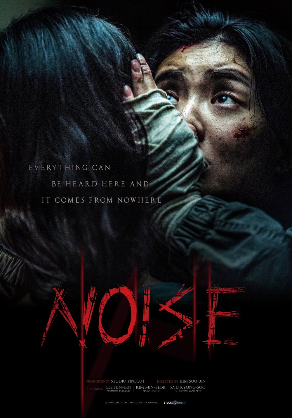 Póster de Noise (Ruidos)