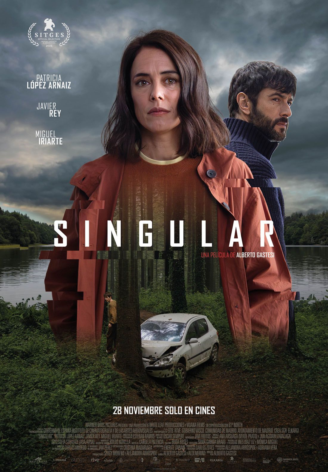 Póster de Singular