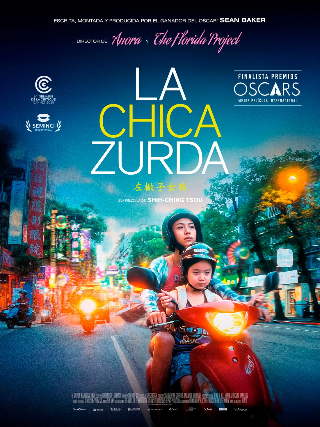 Póster de La chica zurda