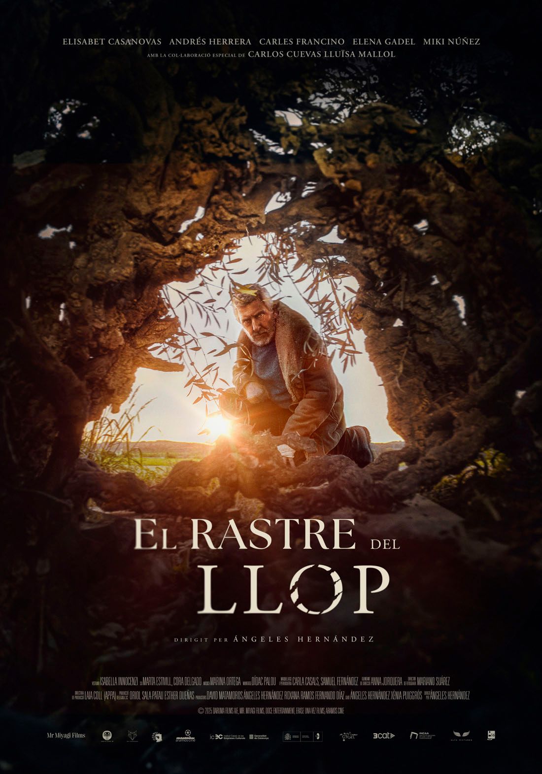 Póster de El rastro del lobo