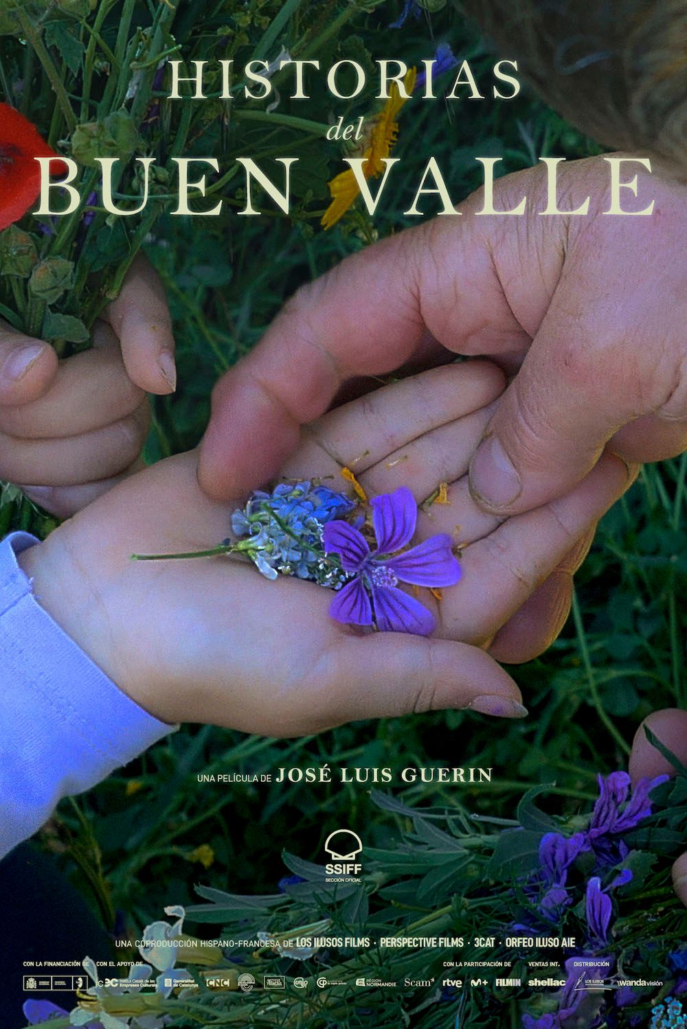 Póster de Historias del buen valle