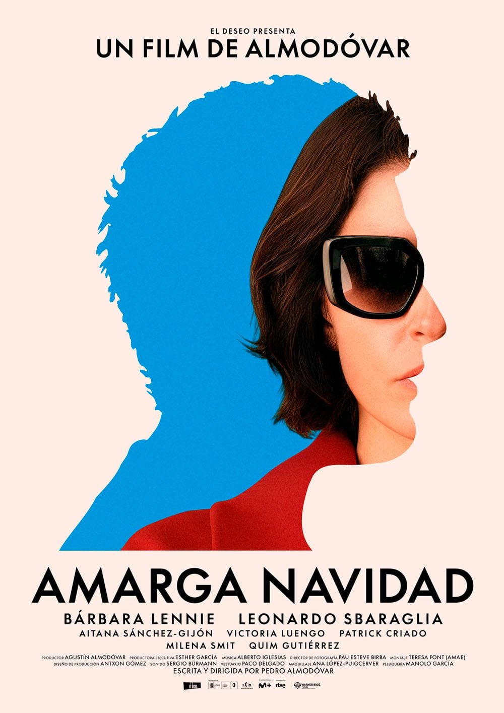 Póster de Amarga Navidad